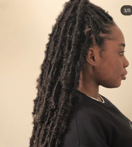 Faux Locs for HairbyPrin