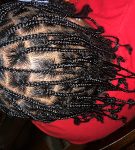 Small Box Braids for K_Lee_Hair