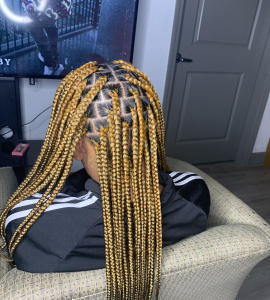 Knotless Braids for Tressa_Transforms