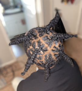 Loc Retwist for Braids_By_Ajay