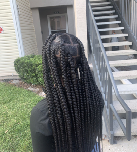 Knotless Braids for Tressa_Transforms