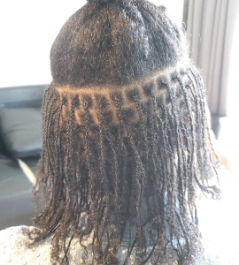 Sisterlocks for Designbraidz