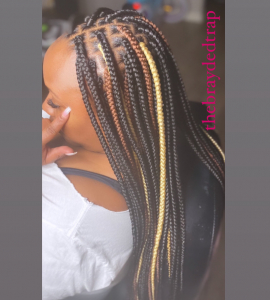 Medium Box Braids for TheBraydedTrap