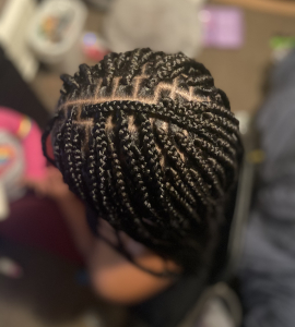 Small Box Braids for AriDidIt