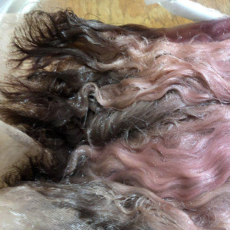 Custom color for The_Palash