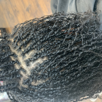 Micro Braids for Locsbyjvzz