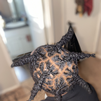 Loc Retwist for Braids_By_Ajay