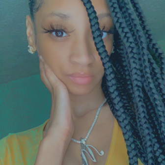 Knotless Braids for Di_Martise_Collection
