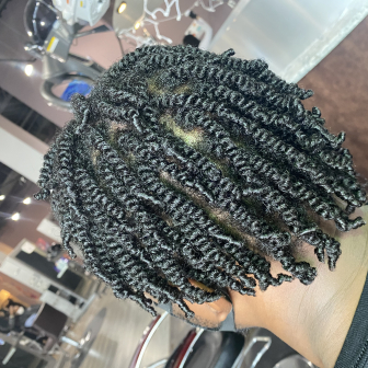 Two Strand Twist for EnaziStyles