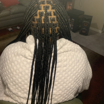 Knotless Braids for Tressa_Transforms