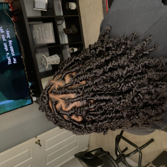 Faux Locs for Hair_by_Jadax