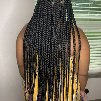 Knotless Braids for Tressa_Transforms