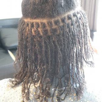 Sisterlocks for Designbraidz