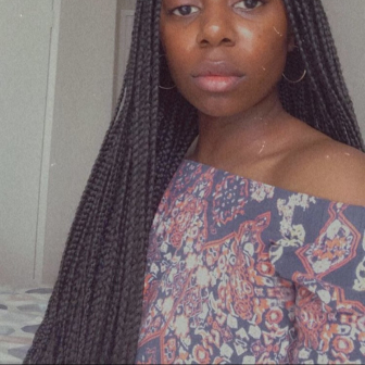 Knotless Braids for Pytresse