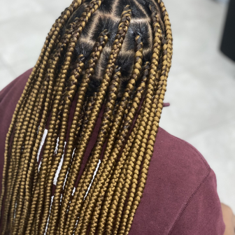 Large Box Braids for Typhs_Braids