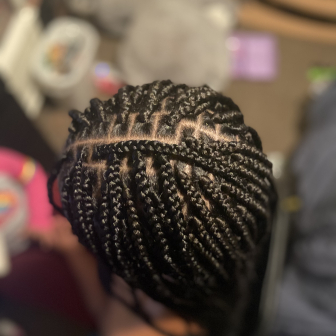 Small Box Braids for AriDidIt