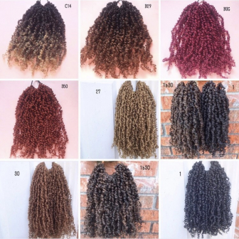 (Hairstylist) Braids, Twist And Extensions for BraidsbyAja
