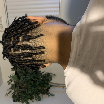 Loc Start for Laustylz