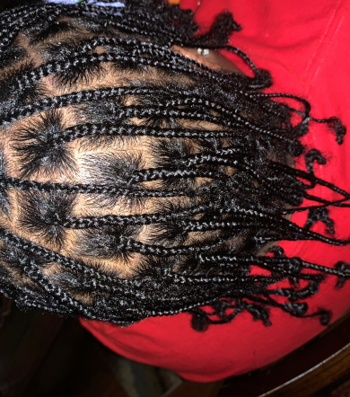 Small Box Braids for K_Lee_Hair