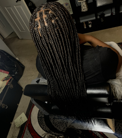 Small Box Braids for Hair_by_Jadax