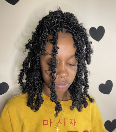 Faux Locs for Kani_Kreations