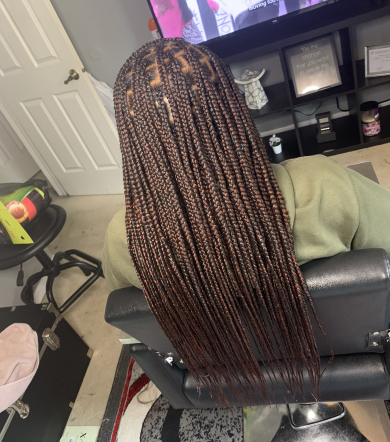 Knotless Braids for Hair_by_Jadax