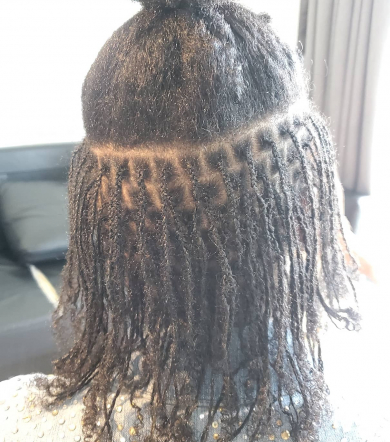 Sisterlocks for Designbraidz