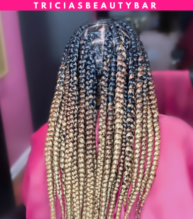 Large Box Braids for TriciasBeautyBar