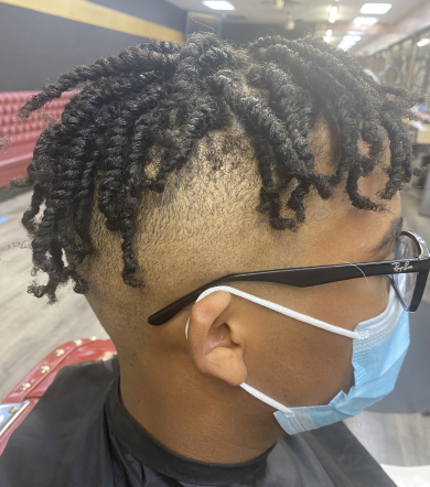 Two Strand Twist for Mone_scott