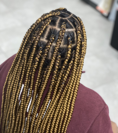 Large Box Braids for Typhs_Braids