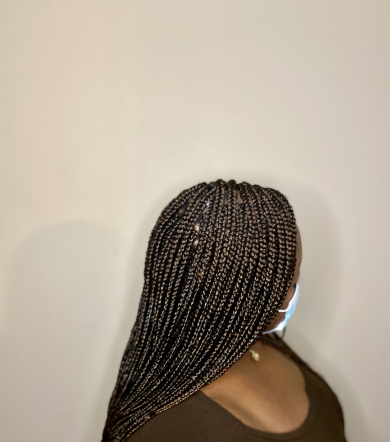 Small Box Braids for Braidzbyjoy