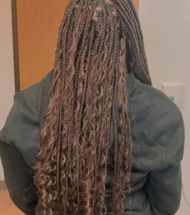 Goddess braids for BraidzByJas