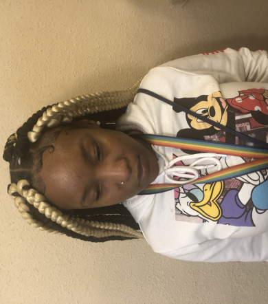 Large Box Braids for _braidsbynaay