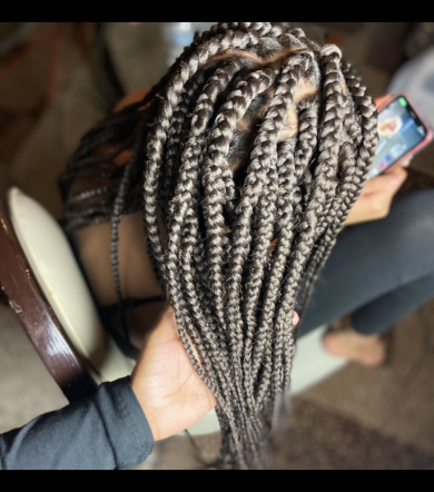 Medium Box Braids for AriDidIt